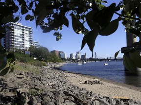 File - In this July 6, 2017 file photo, a section of newly formed beach, named Poet's Beach, is shown on the Willamette River in downtown Portland, Ore. Oregon is suing the agrochemical giant Monsanto over PCB pollution that it says has contaminated dozens of its waterways and leached into ground soil around the state. The lawsuit filed in Portland seeks $100 million in damages to undo pollution that state officials say has accumulated over decades.