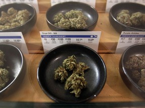 FILE - This Jan. 1, 2018 photo shows marijuana on display at Harborside marijuana dispensary in Oakland, Calif. When U.S. Attorney General Jeff Sessions green-lighted federal prosecutors to pursue violators of federal marijuana laws, not only states that legalized recreational pot are at risk of a crackdown, but so is most of the rest of America. All but four states allow some form of medical marijuana, even Sessions' home state of Alabama.
