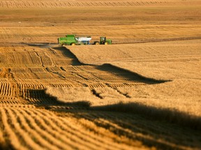 According to a survey by the Canadian Federation of Independent Business (CFIB) released at the end of January, 93 per cent of the farmers they were able to reach say the regulatory burden on their businesses is growing.