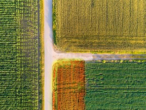 Twenty years from now, agriculture will look different than it does today.