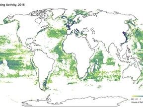 This image provided by Global Fishing Watch shows fishing activity around the world in 2016. According to a study released Thursday, Feb. 22, 2018, researchers found more than 55 percent of the world's oceans are fished commercially, with five countries responsible for 85 percent of high seas fishing. Study co-author Boris Worm says the findings show that ships are obeying no-fishing zones and times, although they hover at the edges of marine-protected areas. (Global Fishing Watch via AP)