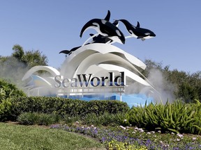 FILE- In this Jan. 31, 2017, file photo, the entrance to Sea World is seen, in Orlando, Fla. SeaWorld reports financial results on Tuesday, Feb. 27, 2018.