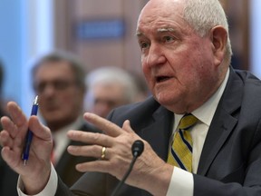 FILE - In this Feb. 6, 2018, file photo, Agriculture Secretary Sonny Perdue testifies on Capitol Hill in Washington. Perdue is defending a proposal that would cut food stamp benefits in half and replace them with a pre-assembled box of shelf-stable goods delivered to recipients' doorstep, an idea one lawmaker called "a cruel joke."