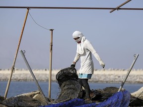 In this Jan. 23, 2018 photo, an employee of the Dibba Bay Oyster Farm cleans the lantern nets at the company's harvesting and processing facilities in Dibba, United Arab Emirates. The waters of the Persian Gulf have long been home to pearl oysters. Now, off the shores of the Fujairah, an emirate with a coastline that juts out into the Gulf of Oman, a new type of oyster is thriving -- the edible kind.