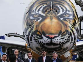 Visitors pose for a group photo with the tiger-painted nose of an Embraer E-190 E2 commercial jet parked at the static display area during the Singapore Airshow Wednesday, Feb. 7, 2018, in Singapore.