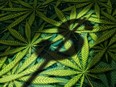 Will Canada's marijuana industry be ready in time?
