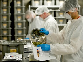 Operations at Canadian medical marijuana producer Tilray.