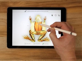 A demonstration of the Froggipedia App using the Apple Pencil on the new 9.7-inch iPad is performed at an Apple educational event at Lane Technical College Prep High School, Tuesday, March 27, 2018, in Chicago.