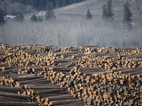 Softwood lumber is pictured at Tolko Industries in Heffley Creek, B.C., Sunday, April 1, 2018. B.C. and overall Canadian lumber exports were down in March and for the first three months of the year. Railway transportation issues out west are seen as the main reason.THE CANADIAN PRESS/Jonathan Hayward