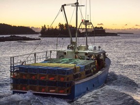 A fishing boat heads from West Dover, N.S. on Tuesday, Nov. 28, 2017. The spring lobster season began off most coasts of the Maritimes today amidst worries from fishing groups that the arrival of the endangered right whales may close large portions of the lucrative fishery.
