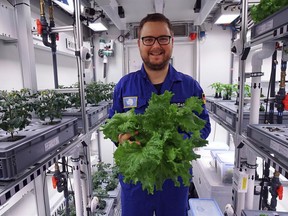 The undated photo provided by the German aerospace center (DLR) shows engineer Paul Zabel with fresh salad he harvested in the EDEN-ISS greenhouse at the Neumeyer-Station III on Antarctica. The project without soil but with a closed water cycle, optimized lightning and carbon dioxide levels is a test to become part of the nutrition for astronauts in future moon or Mars missions.   (DLR via AP)