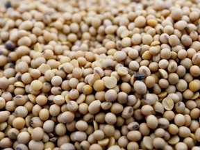 A bucket of yellow soybeans is shown at Deerfield Farms Service on Thursday, April 5, 2018, at the facility in Volant, Pa. After the Trump administration unveiled plans to impose tariffs on $50 billion in Chinese imports, China lashed back, matching the American tariffs with plans to tax $50 billion of U.S. products, including soybeans, corn and wheat.