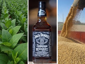 China’s list strikes at signature U.S. exports, including tobacco, Jack Daniels and soybeans produced in states from Iowa to Texas that voted for Donald Trump in the 2016 presidential election.
