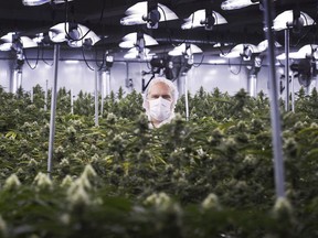 Aurora Cannabis to buy MedReleaf in $3.2B takeover