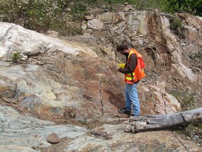 Pistol Bay geologist investigates massive alteration outcrop.