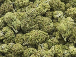 The retail price for a gram of pot has fallen about 50 per cent since 2015, from $14 to $7, says a report by the Oregon Office of Economic Analysis.