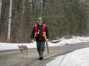 Prospector Glenn McBride walks along a mining road near Cobalt, Ontario April 27, 2018.