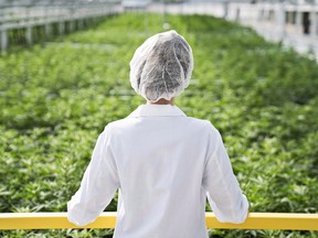 Licensed marijuana producer Aphria Inc. plans to build a $55 million extraction facility.