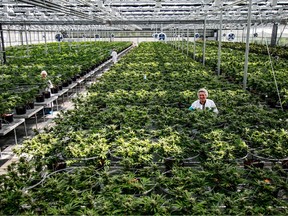 A Hydropothecary facility in Quebec. The company wants to catch up with the market capitalization of competitors such as Canopy Growth Corp., Aurora or Aphria Inc.