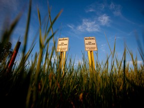 Heavy Western Canadian Select crude prices surged by a record US$12.20 a barrel relative to U.S. benchmark West Texas Intermediate futures Monday after Enbridge scrapped new rules, which were designed to stop shippers from claiming more space than they needed on the pipeline.