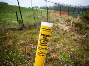 Brookfield Asset Management CEO Bruce Flatt said the company looks “all infrastructure” and would consider investing in the Trans Mountain pipeline if it makes financial sense.