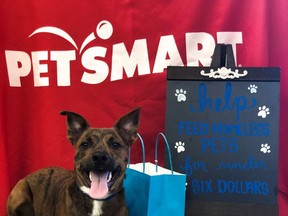 June is National Pet Preparedness Month and PetSmart shoppers are encouraged to participate in a pet food drive benefiting local animal welfare organization and their efforts to help pets during emergencies. From Friday, June 15, through Sunday, July 8, PetSmart customers are invited to purchase and donate dry or wet dog and cat food in stores to be delivered to nearby animal welfare organizations.