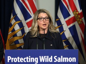 Minister of Agriculture Lana Popham is joined by Premier John Horgan and Green Party MLA Adam Olsen to announce a wild salmon advisory council to develop a strategy over the summer to present to government in the fall session during a press conference in the Hall of Honour at the Legislature in Victoria, B.C., on Friday June 15, 2018.