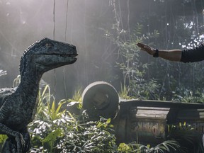 This image released by Universal Pictures shows Chris Pratt in a scene from, "Jurassic World: Fallen Kingdom." (Universal via AP)