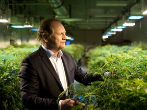 Aurora Cannibas Inc CEO Terry Booth says the $250-million deal is “the largest traditional debt facility in the cannabis industry to date.”