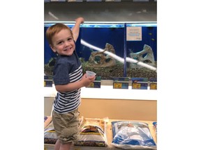 A young boy is all smiles at PetSmart's Camp Critters in-store event. Camp Critters is one of many summertime educational series PetSmart is hosting to teach children all about small pets, fish and more. PetSmart is also hosting in-store educational events for pet parents.