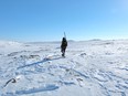 A December 2011 handout photo of Peregrine Diamonds'  team member conducting a ground geophysical survey at the Chidliak project, Nunavut.