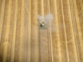 FILE - In this June 27, 2018 a harvester cuts crop in Schönefeld near Berlin. Germany's farmers expect a poor harvest this year due to a prolonged drought and an unusually long stretch of warm weather.