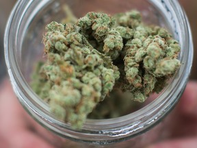 The Ontario government will reportedly allow private stores to sell marijuana once recreational cannabis becomes legal on Oct. 17.