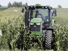 Farmer Tim Novotny, of Wahoo, shreds male corn plants in a field of seed corn, in Wahoo, Neb., Tuesday, July 24, 2018. The Trump administration announced it will provide $12 billion in emergency relief to ease the pain of American farmers slammed by President Donald Trump's escalating trade disputes with China and other countries.