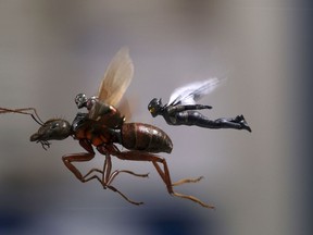 This image released by Marvel Studios shows a scene from "Ant-Man and the Wasp." (Disney/Marvel Studios via AP)