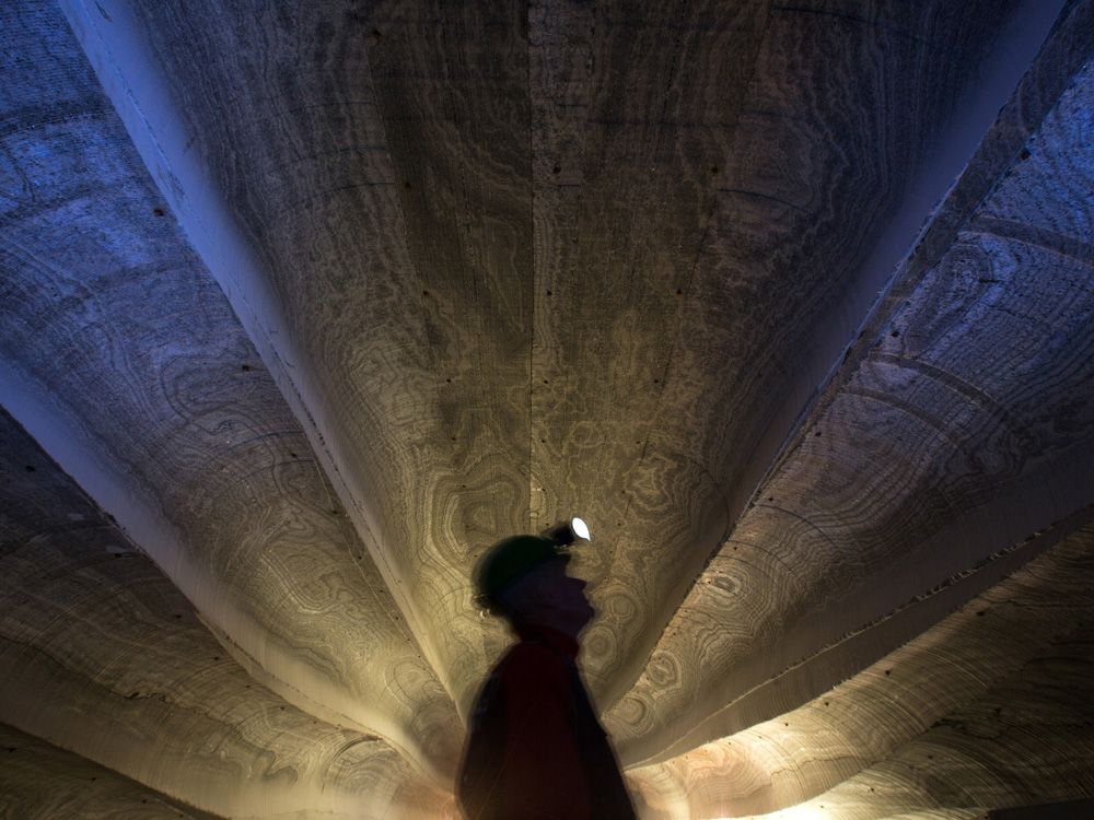 Why now might be the right time to plant Nutrien in your portfolio