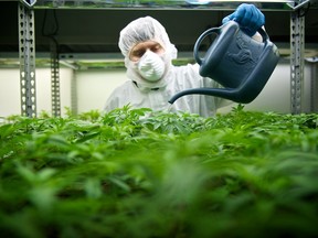 Tilray raised US$153 million in its initial public offering, selling nine million shares at US$17.