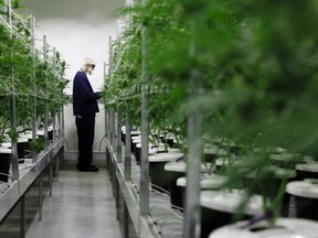 Canopy Growth production assistant Ben Ramsdale tends to some pot plants in the Tweed location in Smiths Falls, ON, Tuesday, March 13, 2018.