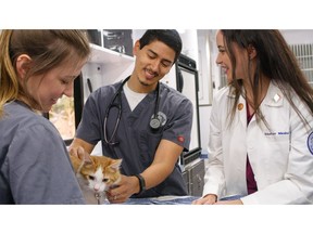 PetSmart Charities®, North America's leading funder of animal welfare, is investing more than half a million dollars in the veterinarians who will be the future leaders of shelter medicine. Grants to veterinary schools and programs at 21 universities across North America will create new scholarships, research grants and student ambassadorships aimed at sparking veterinary students' interest in shelter medicine as a viable and rewarding career path. Since 2015, PetSmart Charities has granted more than $6 million to leading veterinary colleges and universities to provide students with hands-on learning opportunities and experiential education.