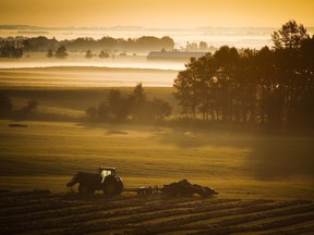 Rural Canada is made up of sculptors, writers, ranchers, farmers, academics and everyone in between.