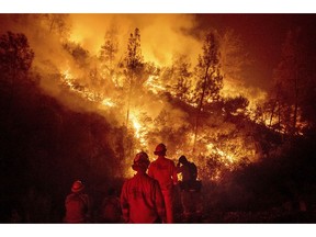 FILE - In this Aug. 7, 2018 file photo, firefighters monitor a backfire while battling the Ranch Fire, part of the Mendocino Complex Fire near Ladoga, Calif. A nationwide telecommunications company that slowed internet service to firefighters as they battled the largest wildfire in California history says it has removed all speed cap restrictions for first responders on the West Coast. Verizon Senior Vice President Mike Maiorana says the service restrictions were removed as of Thursday, Aug. 23, 2018, and include Hawaii, where emergency crews have rescued people from areas flooded by Hurricane Lane.