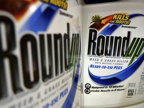 FILE - In this June 28, 2011, file photo, bottles of Roundup herbicide, a product of Monsanto, are displayed on a store shelf in St. Louis. A San Francisco jury on Friday, Aug. 10, 2018, ordered agribusiness giant Monsanto to pay $289 million to a former school groundskeeper dying of cancer, saying the company's popular Roundup weed killer contributed to his disease.