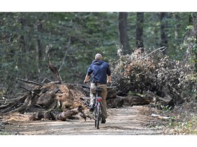 A climate activist rides on his bicycle to a blockade in the Hambach Forest near Dueren, Germany, Monday, Aug. 27, 2018. Environmentalists fight against German energy company RWE, who plans soon clearing and grubbing the old forest for their open-pit lignite mine nearby to continue digging for brown coal.