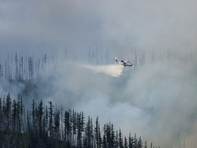 In this photo taken Sunday, Aug. 12, 2018, an air tanker drops water over a wildfire burning in Glacier National Park, Mont. The fire was started by lightning on Saturday night and forced the evacuation of the Lake McDonald Lodge and closed part of the scenic Going-to-the-Sun Road in the park.