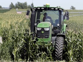 FILE- In this July 24, 2018, file photo farmer Tim Novotny, of Wahoo, shreds male corn plants in a field of seed corn, in Wahoo, Neb. On Thursday, Aug. 9, 2018, the Labor Department reports on U.S. producer price inflation in July.