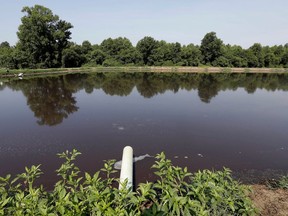FILE - In this July 21, 2017 file photo, a hog waste pond is seen at a farm that has hogs owned by Smithfield Foods in Farmville, N.C. A federal jury decided Friday, Aug. 3, 2018, that the world's largest pork producer should pay $473.5 million to neighbors of three North Carolina industrial-scale hog farms for unreasonable nuisances they suffered from odors, flies and rumbling trucks. The jury found that Smithfield Foods owes compensation to 16 neighbors who complained in their lawsuit that the company failed to stop "the obnoxious, recurrent odors and other causes of nuisance" resulting from closely packed hogs, which "generate many times more sewage than entire towns."