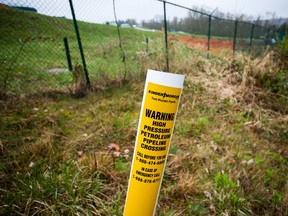 The Trans Mountain oil pipeline expansion would be profitable even if costs rose 26 per cent, an analysis shows.