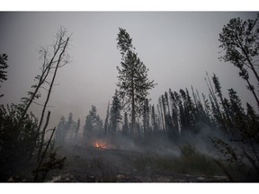 Smoke rises from an area burned by the Shovel Lake wildfire near Endako, B.C., late Thursday, August 16, 2018. The Shovel Lake wildfire is more than 680 square kilometres in size and is the largest of the more than 500 fires burning across the province.