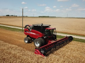 The wheat harvest at Toban Dyck's family farm.