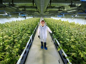 Aurora's chief corporate officer Cam Battley at the company’s production facility near Cremona, Alberta in 2016.